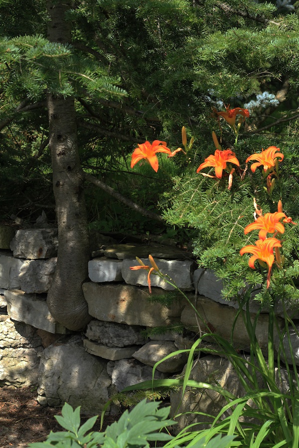 Our Garden