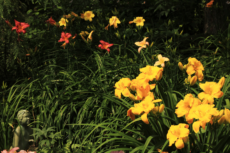 Our Garden