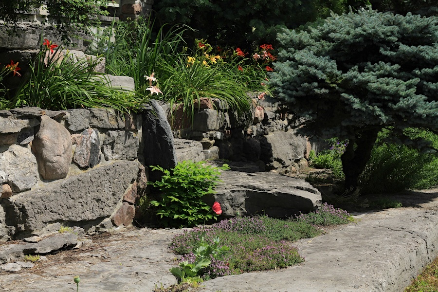 Our Garden