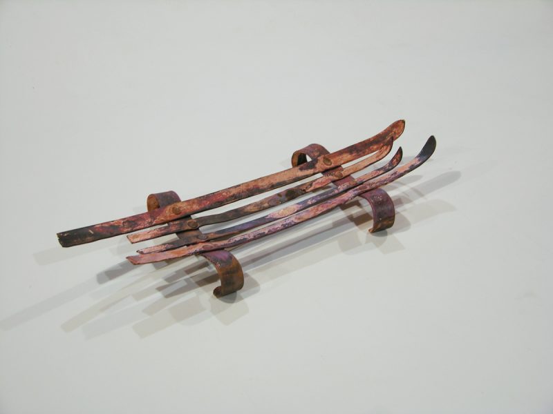 16 after a day in the woods orange bowl